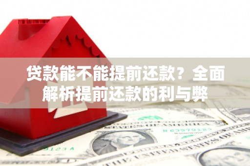 葫芦岛贷款能不能提前还款？全面解析提前还款的利与弊