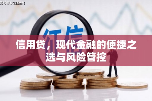 葫芦岛信用贷，现代金融的便捷之选与风险管控