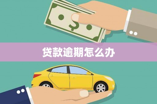葫芦岛贷款逾期怎么办
