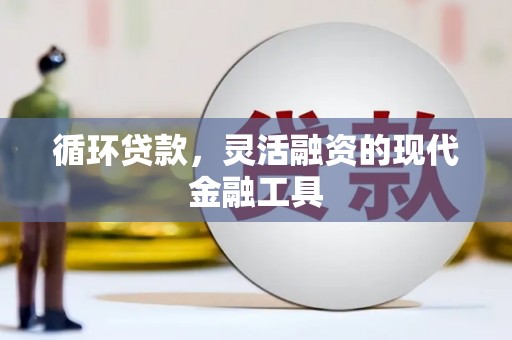 葫芦岛循环贷款，灵活融资的现代金融工具