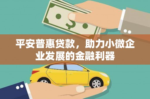葫芦岛平安普惠贷款，助力小微企业发展的金融利器