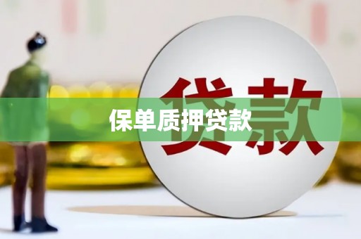 葫芦岛保单质押贷款