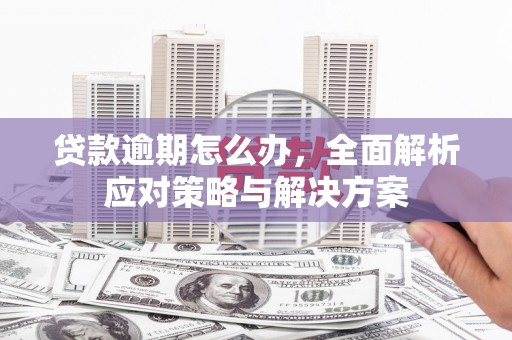 葫芦岛贷款逾期怎么办，全面解析应对策略与解决方案