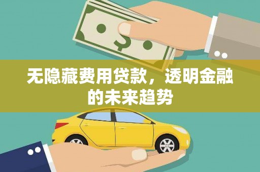 葫芦岛无隐藏费用贷款，透明金融的未来趋势