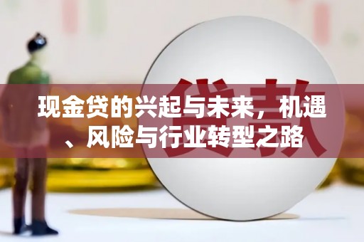 葫芦岛现金贷的兴起与未来，机遇、风险与行业转型之路