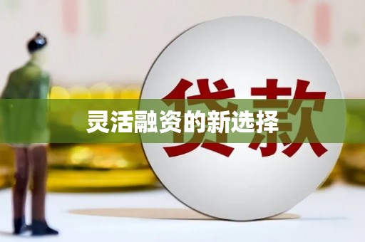 葫芦岛灵活融资的新选择