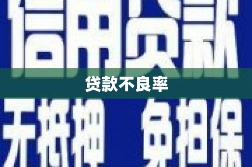 葫芦岛贷款不良率