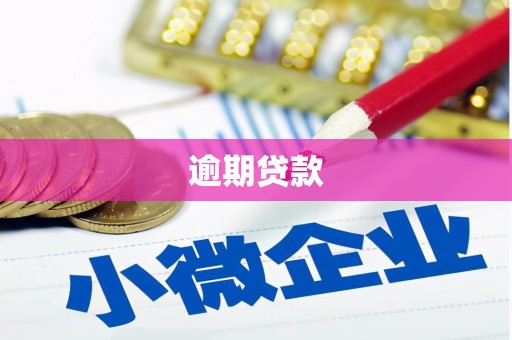 葫芦岛逾期贷款