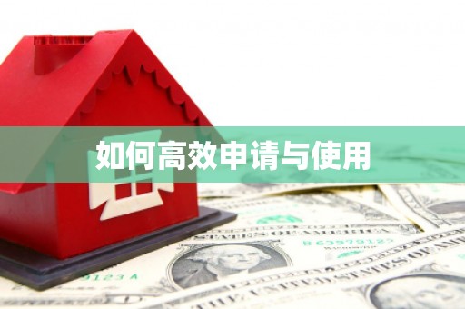 葫芦岛如何高效申请与使用