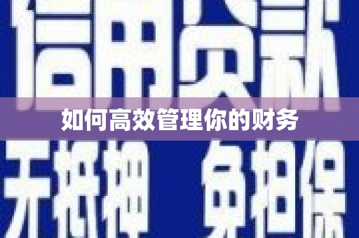 葫芦岛如何高效管理你的财务