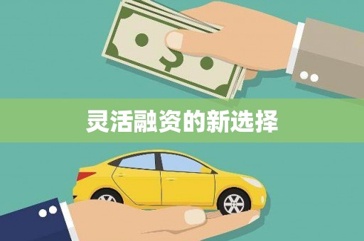 葫芦岛灵活融资的新选择