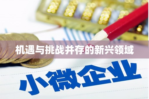 葫芦岛机遇与挑战并存的新兴领域
