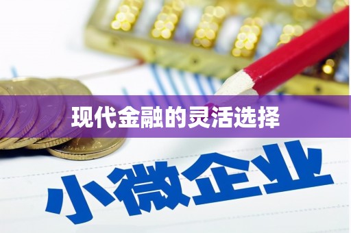 葫芦岛现代金融的灵活选择