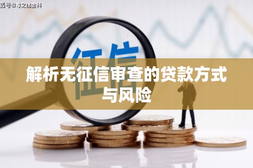 葫芦岛解析无征信审查的贷款方式与风险