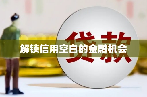 葫芦岛解锁信用空白的金融机会
