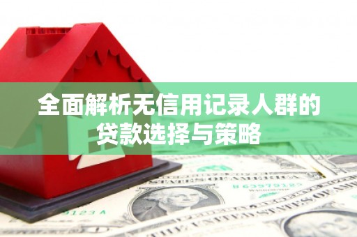 葫芦岛全面解析无信用记录人群的贷款选择与策略
