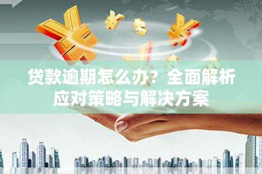 葫芦岛贷款逾期怎么办？全面解析应对策略与解决方案