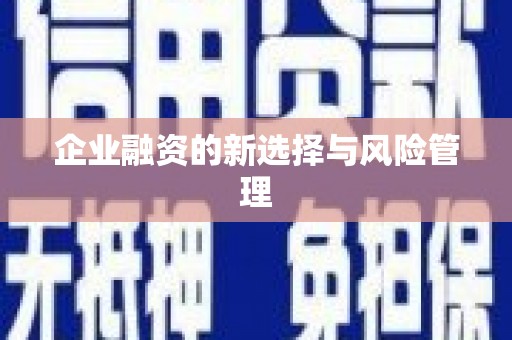 葫芦岛企业融资的新选择与风险管理