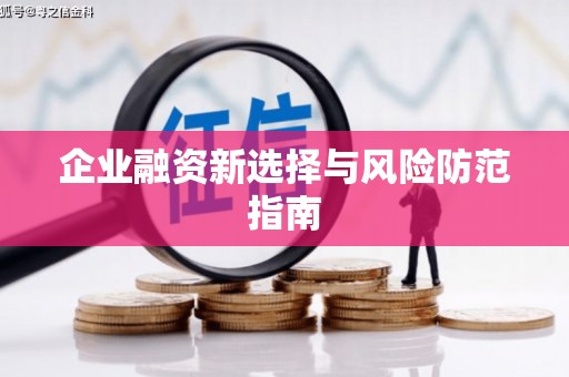 葫芦岛企业融资新选择与风险防范指南