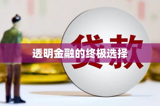 葫芦岛透明金融的终极选择