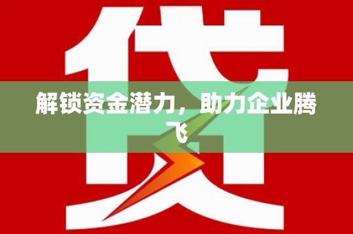 葫芦岛解锁资金潜力，助力企业腾飞