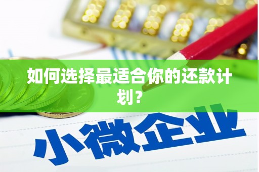 葫芦岛如何选择最适合你的还款计划？