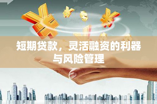 葫芦岛短期贷款，灵活融资的利器与风险管理