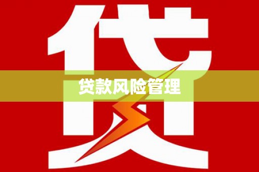 葫芦岛贷款风险管理