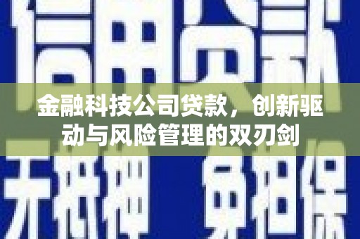 葫芦岛金融科技公司贷款，创新驱动与风险管理的双刃剑